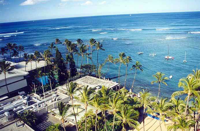 The Colony Surf